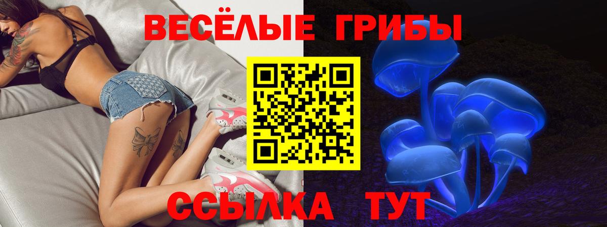 Рыбинск  Псилоцибиновые грибы мицелий  Вход с VPN  Галлюциногенные грибы Psilocybine cubensis 